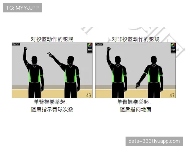 篮球规则中打手犯规的定义与具体判罚解析
