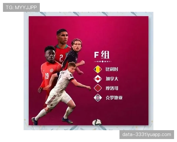 2026世界杯F组最终排名预测结果